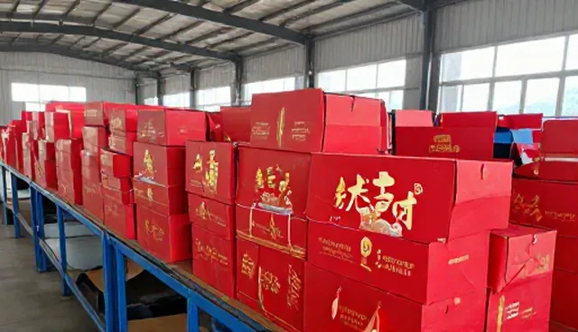 线上店铺选型中服务器配置对运营效率的影响